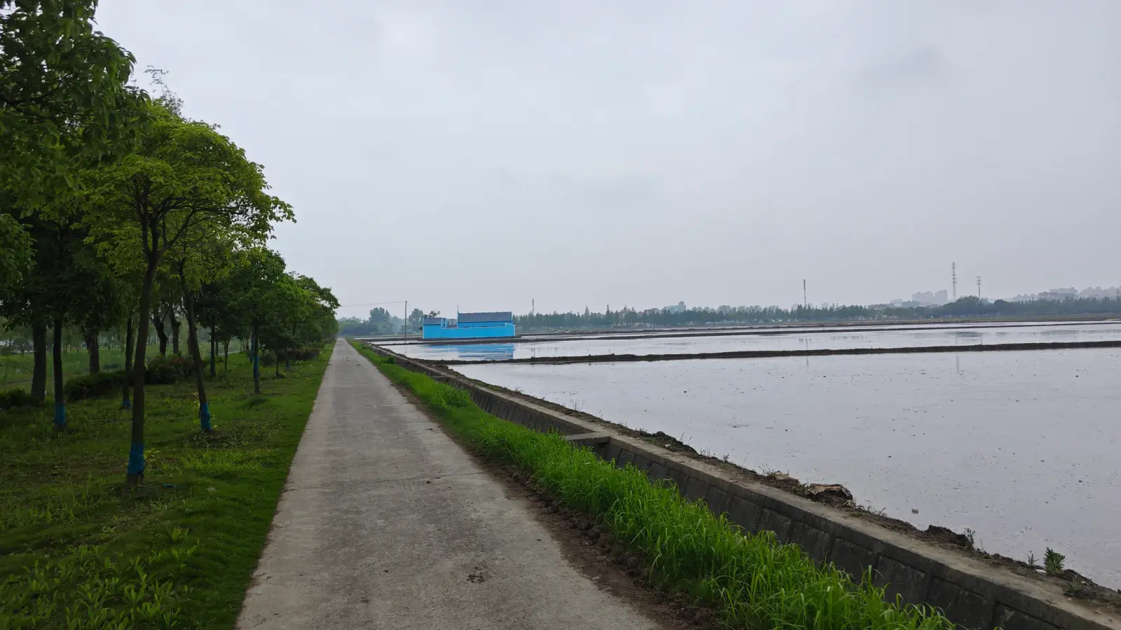 A dirt path beside a flooded field leading toward a distant blue building.
