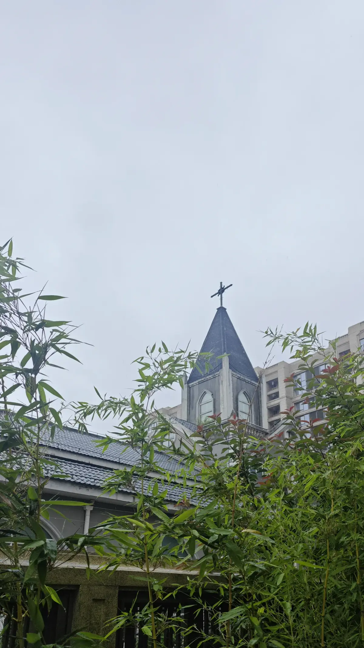 A dark pointed spire with a cross above a grey roof, framed by bamboo leaves and a pale sky.