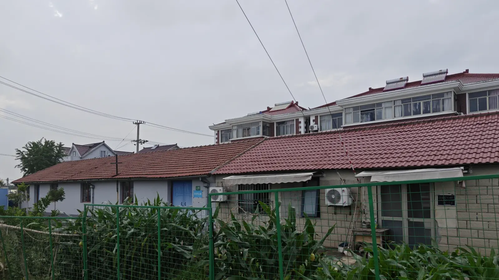 A red-tiled single-storey building with a blue door, seen over a green wire fence and a vegetable plot, with flats behind.
