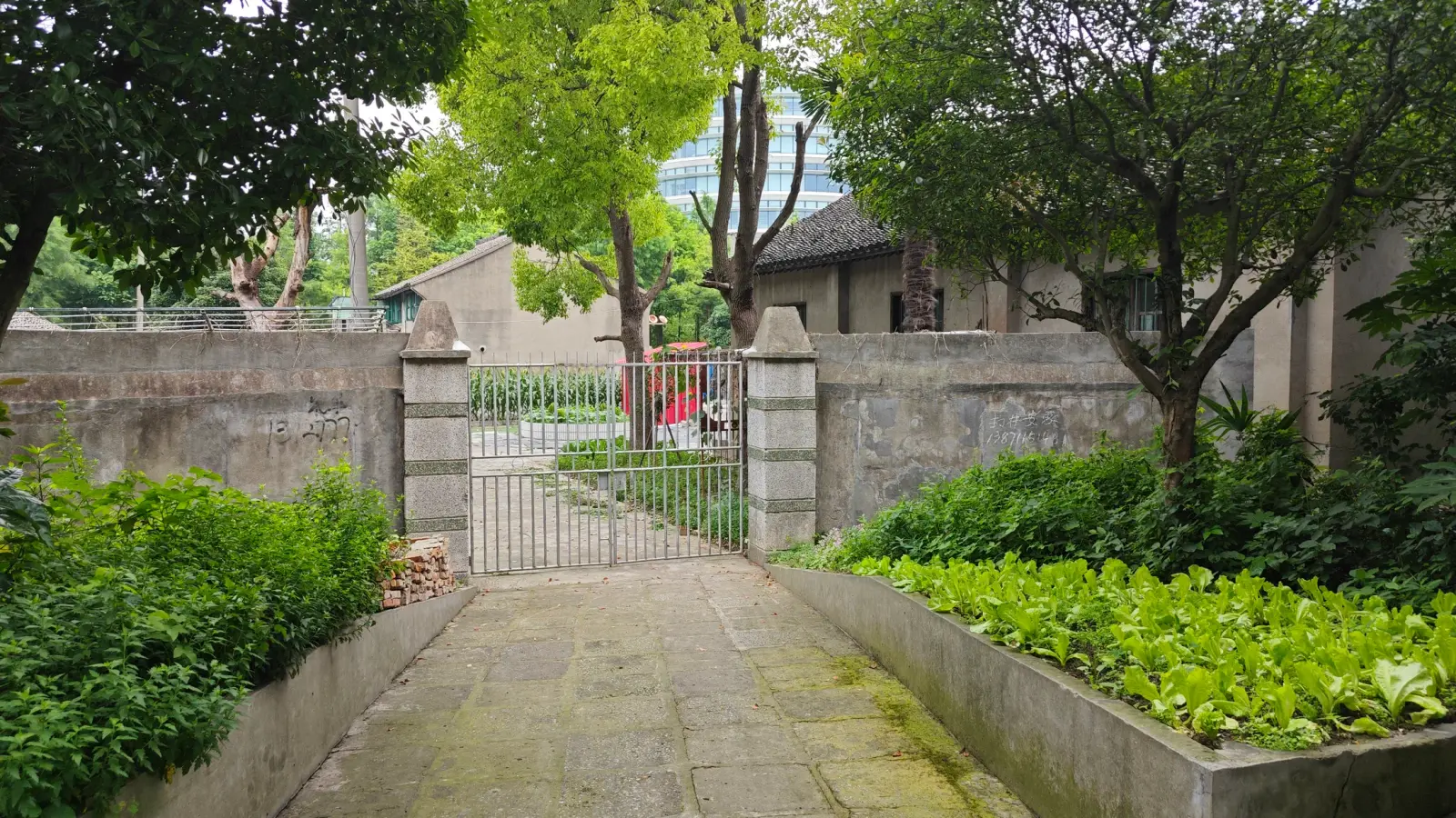 A paved path between vegetable beds leads to an iron gate in a concrete wall, with a dark tiled roof and trees behind.