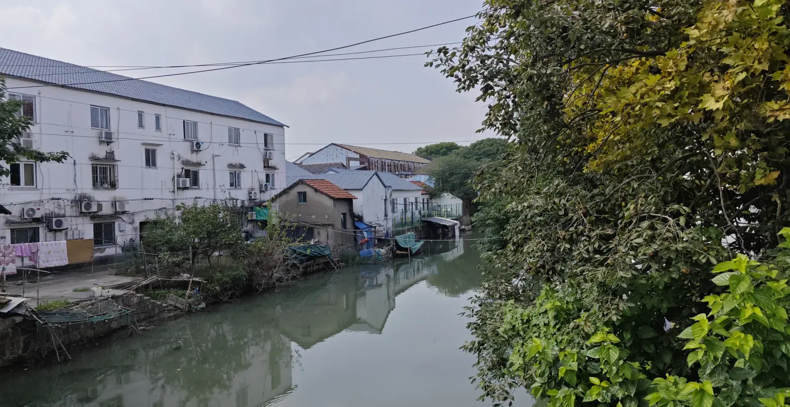 A calm canal with white three-storey housing, boat sheds and overhanging trees.