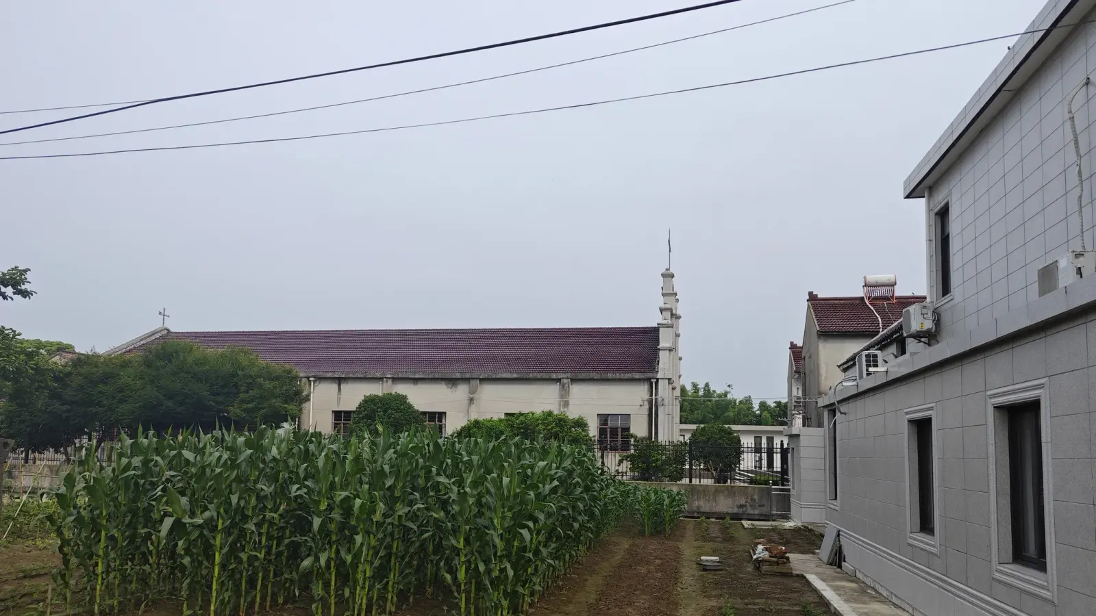 Long church roof and slender tower seen over a cornfield.